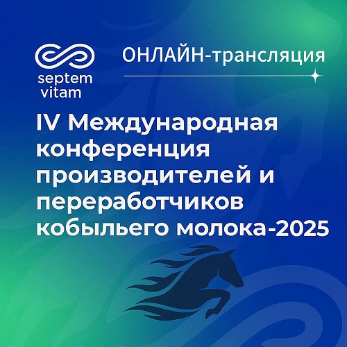 Билет на конференцию. Онлайн-трансляция