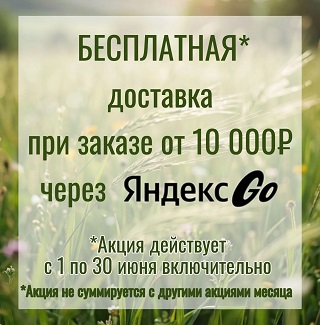 Бесплатная доставка от 10000 руб