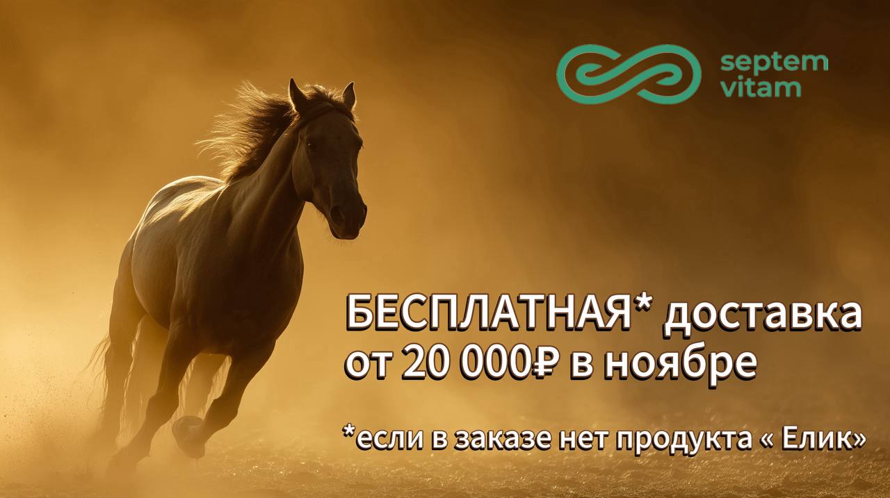 Бесплатная доставка