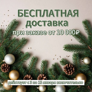 Бесплатная доставка