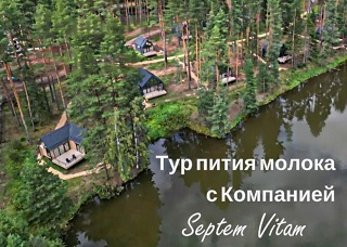 Промо-акция